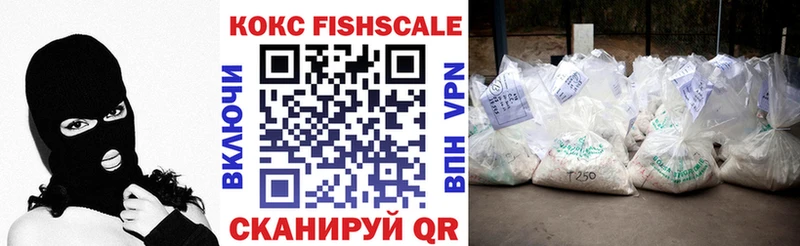 Cocaine FishScale  ссылка на мегу вход  Кохма 